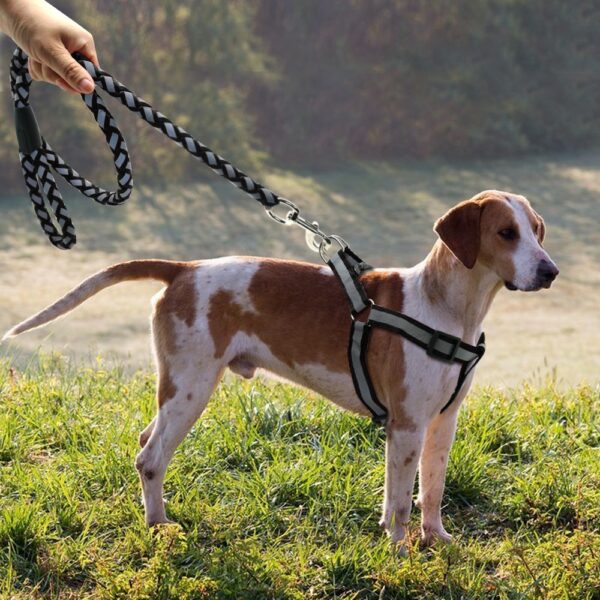 Step-in Reflective Nylon Dog Vest with Leash Set - Image 6