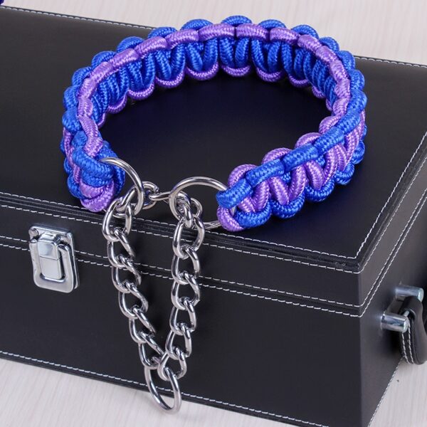 Bright Braided Nylon Dog's Collar - Image 5
