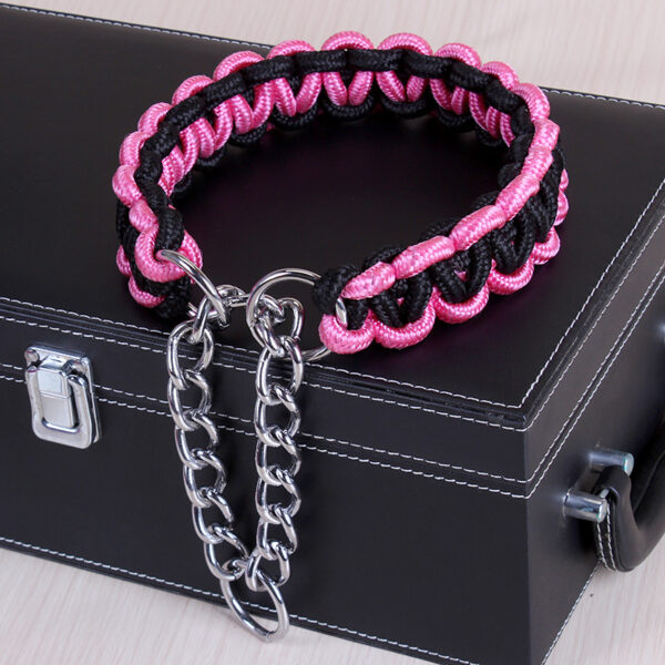 Bright Braided Nylon Dog's Collar - Image 3