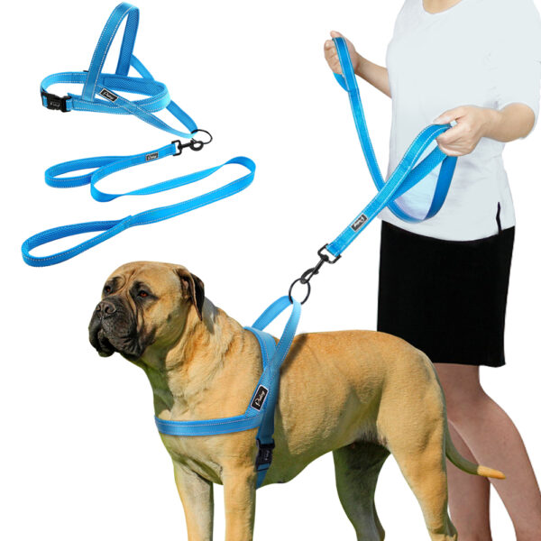 Convenient Basic Nylon Dog's Harness with Leash - Image 3