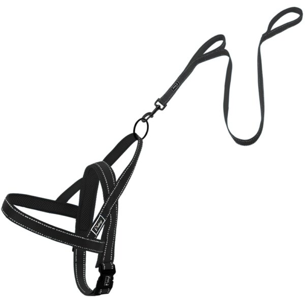 Convenient Basic Nylon Dog's Harness with Leash - Image 4
