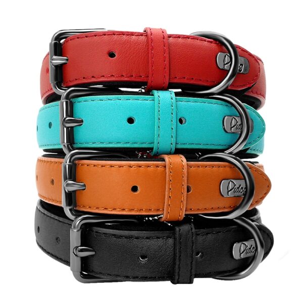 Padded Adjustable Genuine Leather Dog Collar