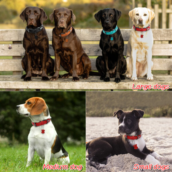 Padded Adjustable Genuine Leather Dog Collar - Image 6