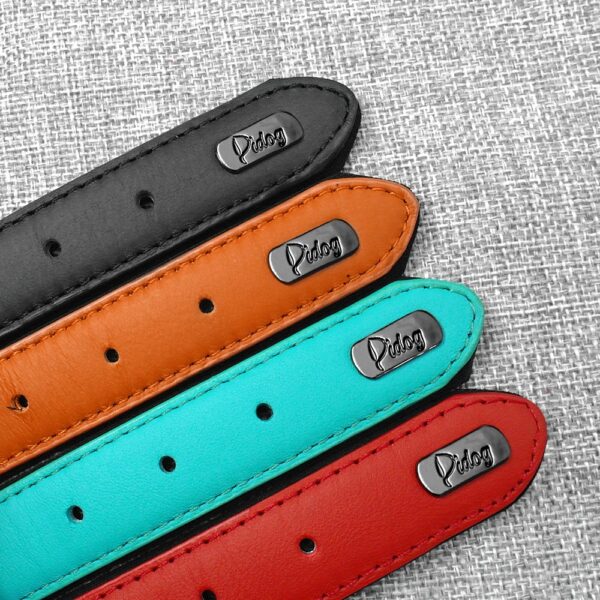 Padded Adjustable Genuine Leather Dog Collar - Image 5