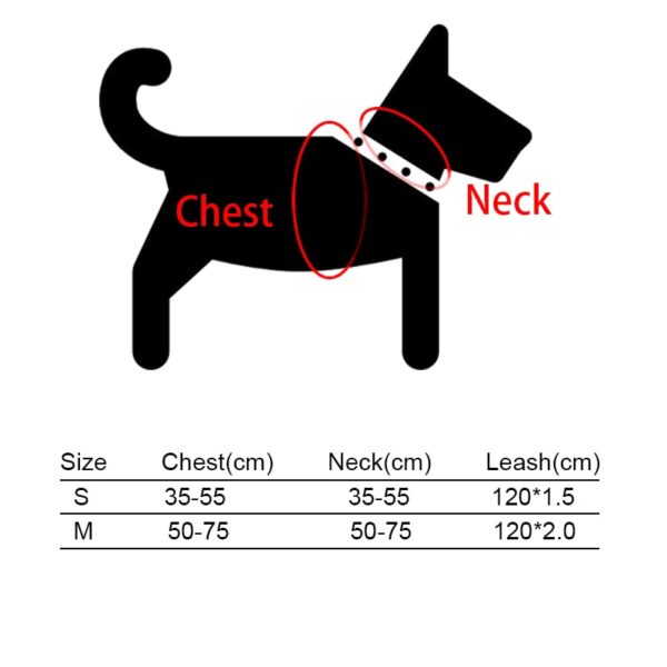 Dog's Boho Print Harness with Leash - Image 7