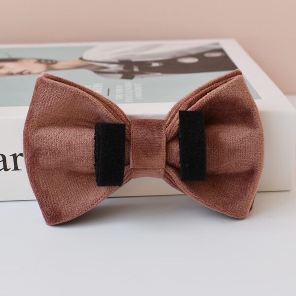 Dog's Personalized Soft Brown Collar - Image 6