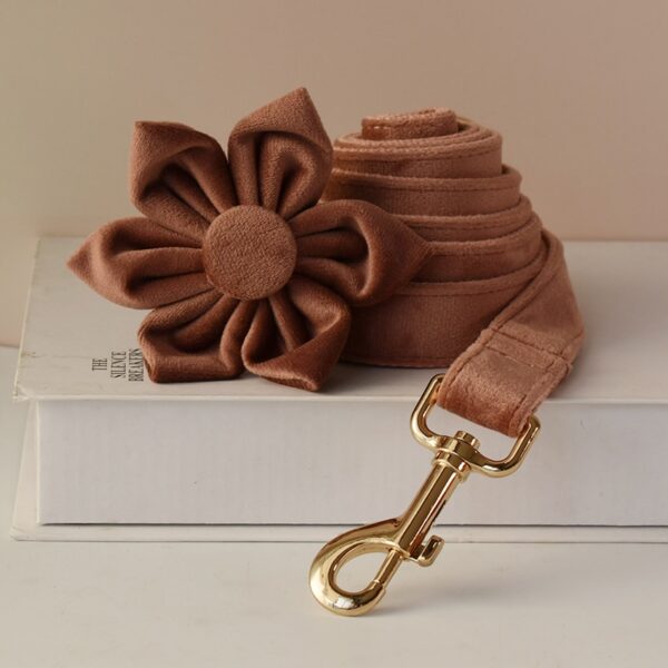 Dog's Personalized Soft Collar - Image 3