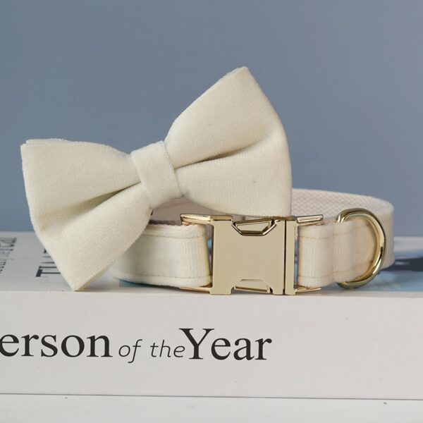 Dog's Personalized White Collar - Image 5
