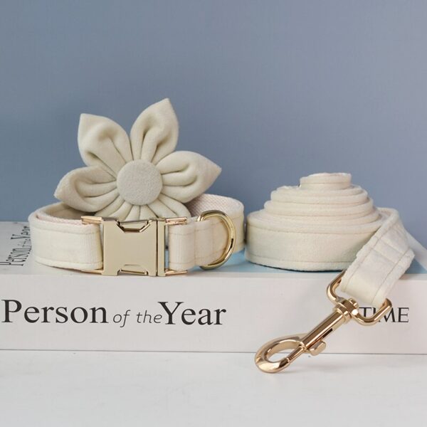 Dog's Personalized White Collar - Image 3