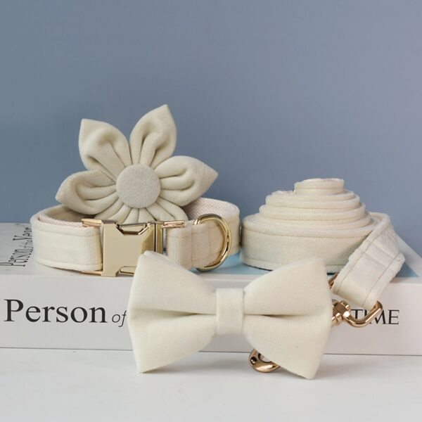Dog's Personalized White Collar