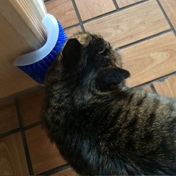 Corner Mounted Catnip Massager - Image 3