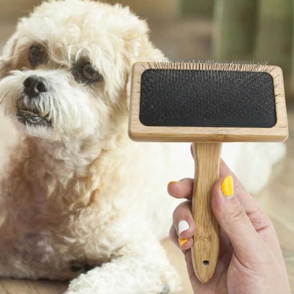 Pet's Natural Bamboo Brush - Image 7