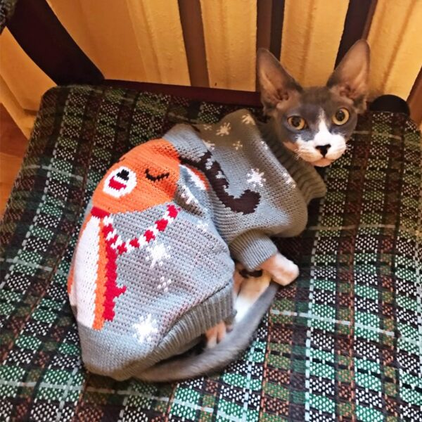 Warm Printed Sweater for Cats - Image 4