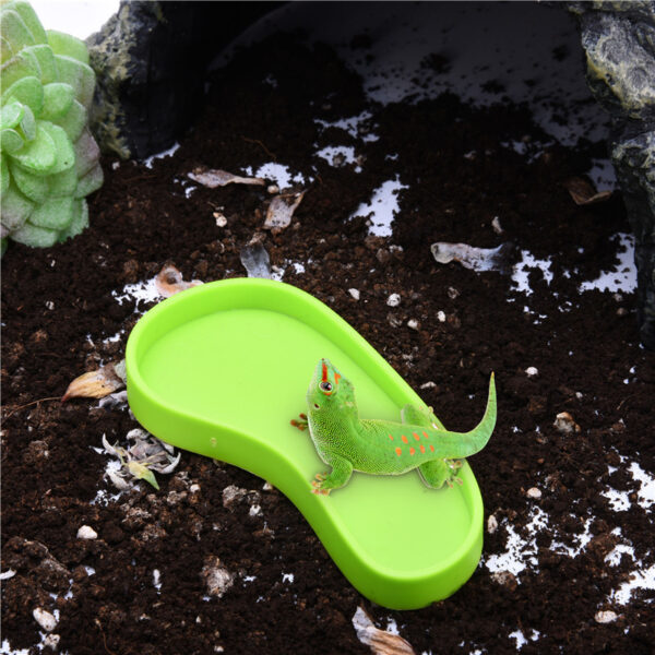 Plastic Bowl For Feeding Reptiles - Image 3