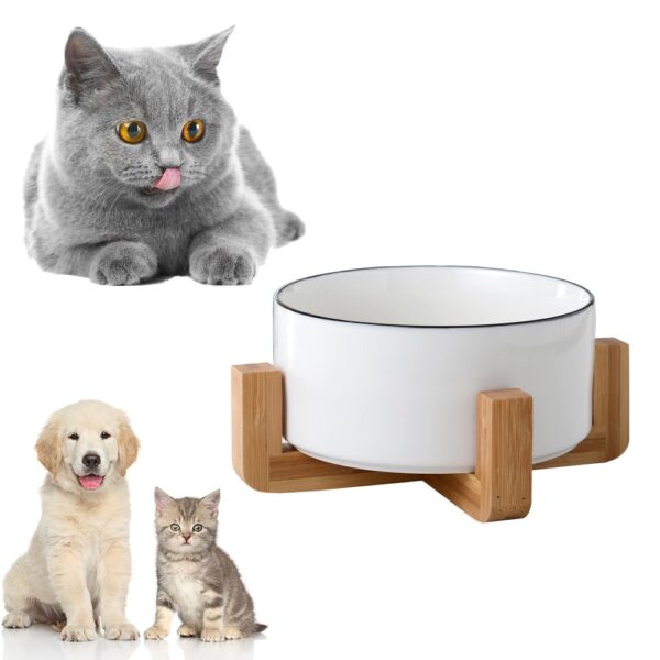 Ceramic Elevated Bowl for Pets - Image 4