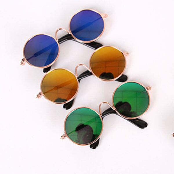 Small Glasses for Pets - Image 4