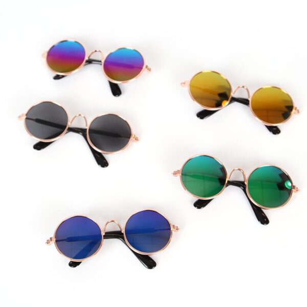 Small Glasses for Pets - Image 5