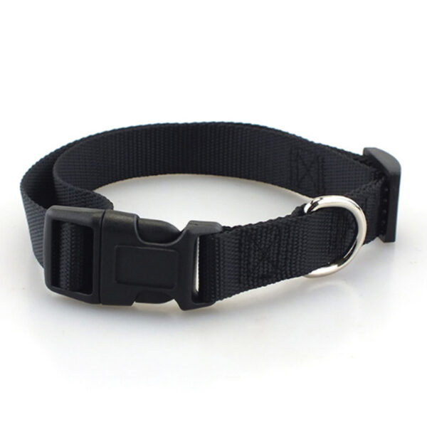 Simple Nylon Collar for Pets - Image 5