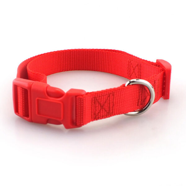 Simple Nylon Collar for Pets - Image 6