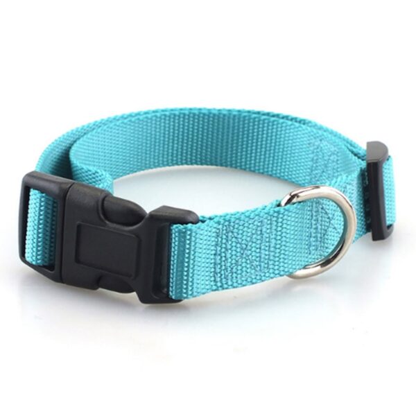 Simple Nylon Collar for Pets - Image 8