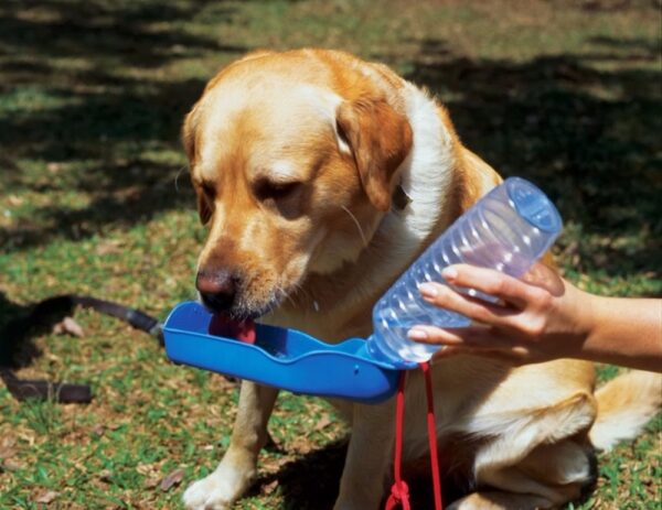 Pet's Travel Feeding Bottle - Image 8