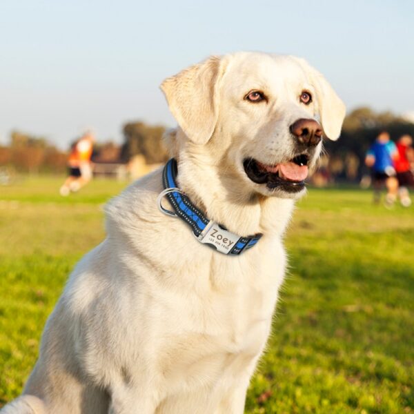 Dog's Striped Reflective Collar - Image 7