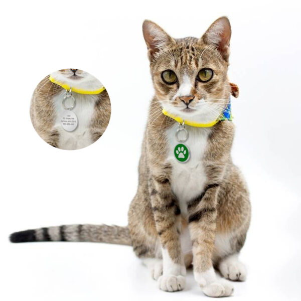 Customizable Pet ID Tag - Image 3