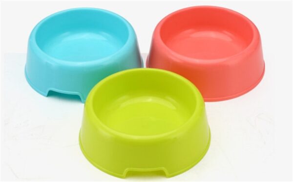 Pet's Feeding Spiral Shaped Food Bowl - Image 11