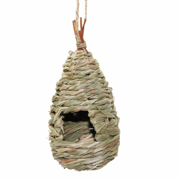Bird's Natural Breeding Nest