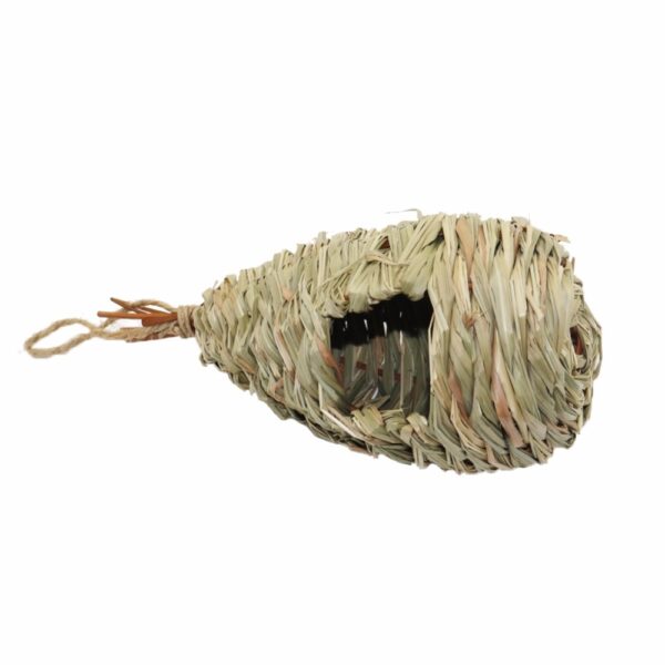 Bird's Natural Breeding Nest - Image 4