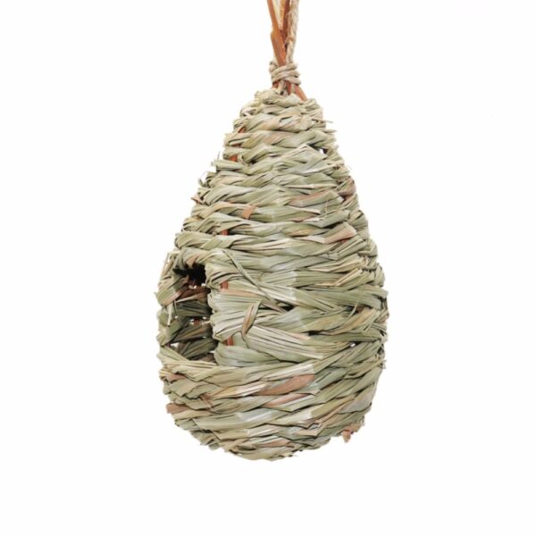 Bird's Natural Breeding Nest - Image 6