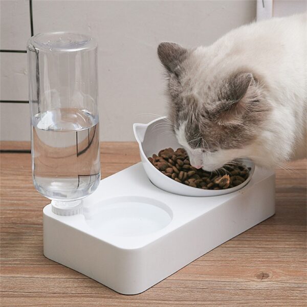 Cat's Food and Water Bowl - Image 6