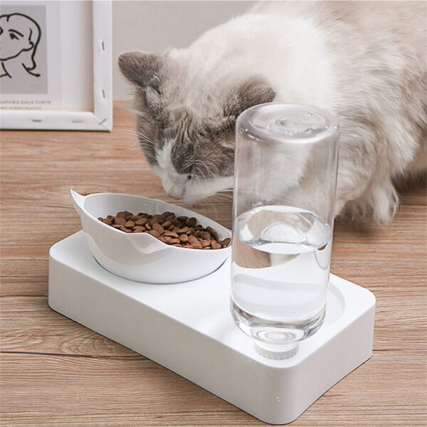 Cat's Food and Water Bowl - Image 5
