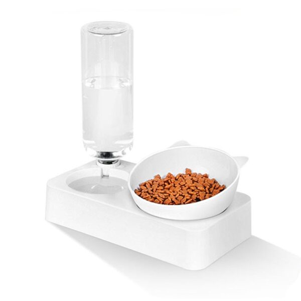 Cat's Food and Water Bowl