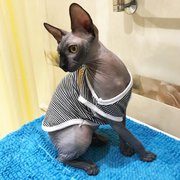 Cat's Summer Striped Cotton T-Shirts - Image 3