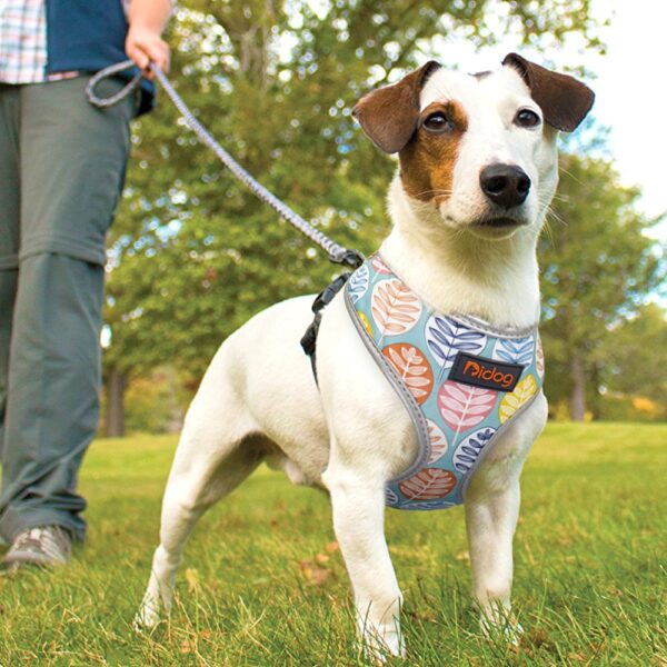 Dog's Colorful Print Harness - Image 3
