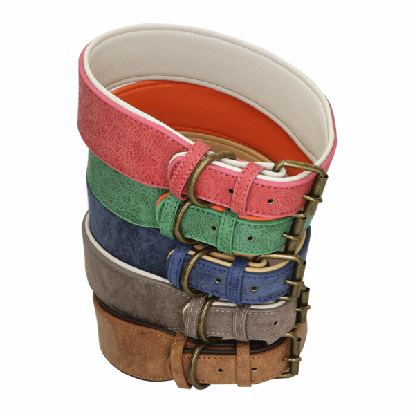 Soft Padded Wide Leather Dog Collar
