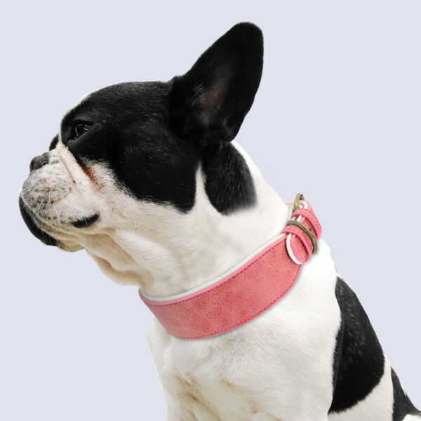Soft Padded Wide Leather Dog Collar - Image 5