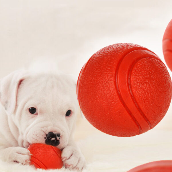 Bite-Resistant Rubber Dog's Ball