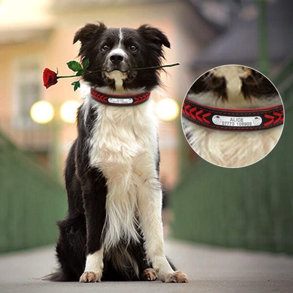 Personalized Engraved Collars For Dogs - Image 3
