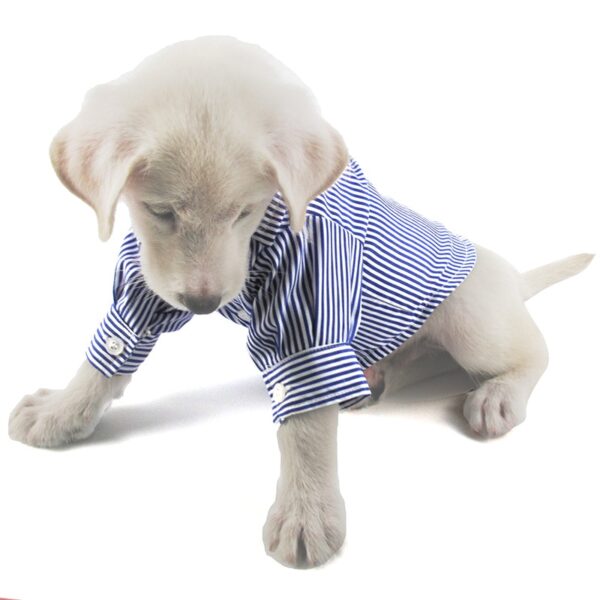 Dog's Casual Striped Shirt - Image 3