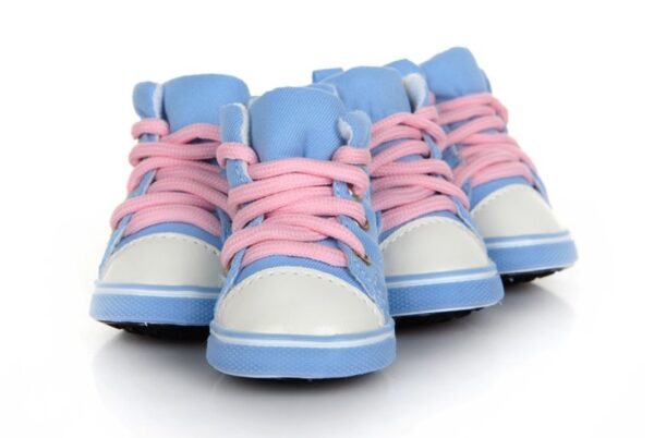 Pet Candy Color Shoes - Image 3
