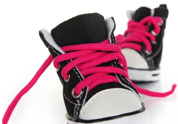 Pet Candy Color Shoes - Image 8