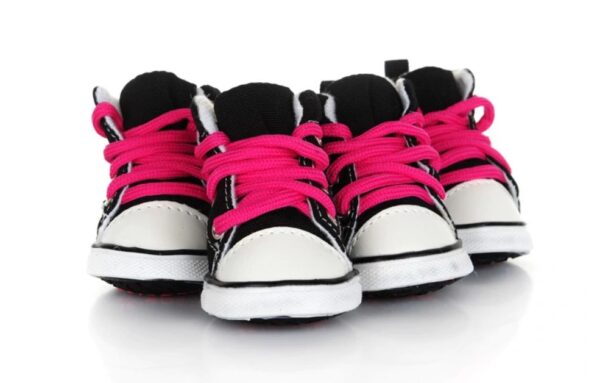 Pet Candy Color Shoes - Image 5