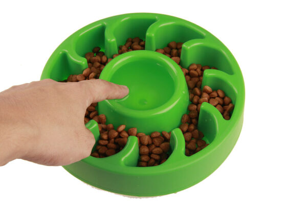Dog's Slow Eating Bowl - Image 4