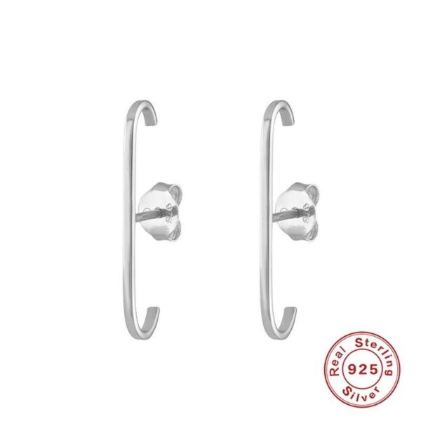 925 Sterling Silver Earrings