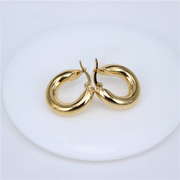 Classic Design Smooth Stainless Steel Earrings - Image 6