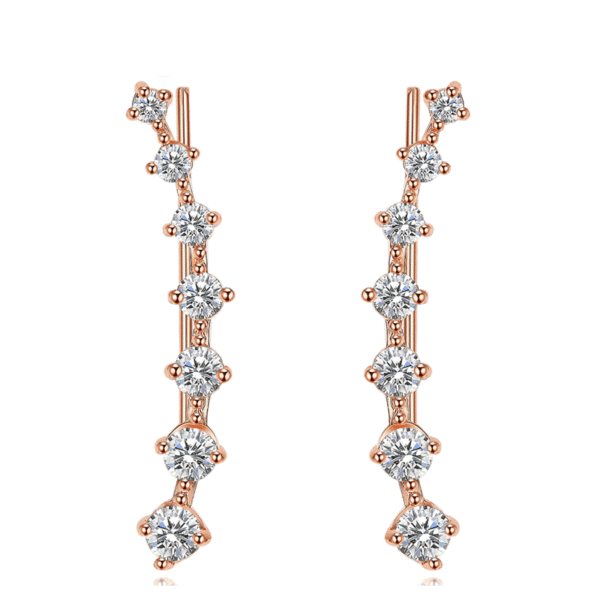 Women's Long Hook Earrings - Image 2