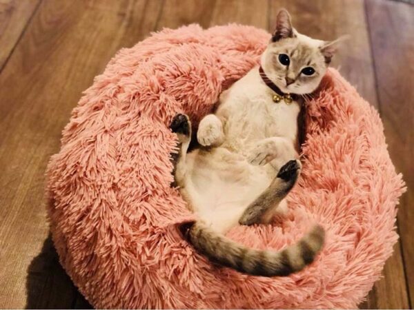 Pet's Round Shaped Fluffy Bed - Image 5