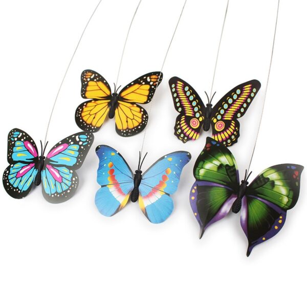 Colorful Electric  Butterfly and Bird - Image 5
